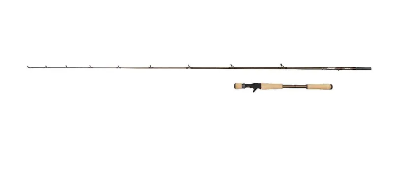 Abu Garcia Beast Pro2 Casting Rod