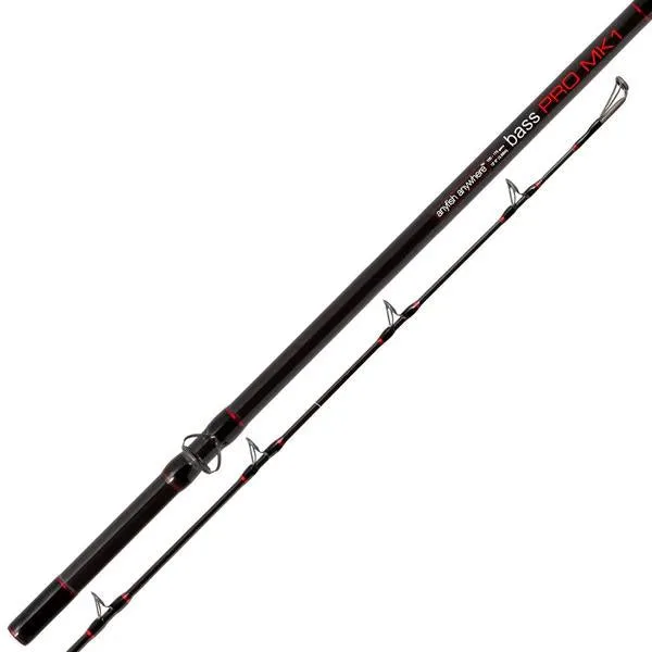 Anyfish Anywhere Bass Pro Beach Rod