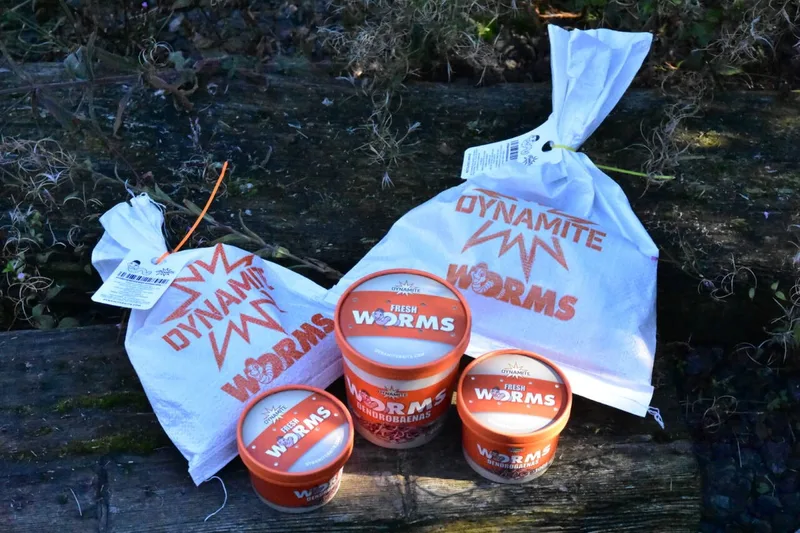 Dynamite Baits Lobworms