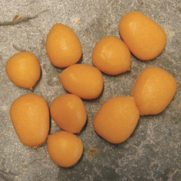 Enterprise Tackle Pop Up Maize