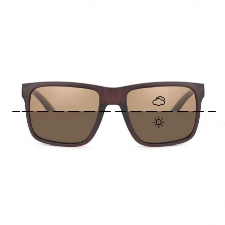Fortis Bays Polarised Sunglasses — Switch