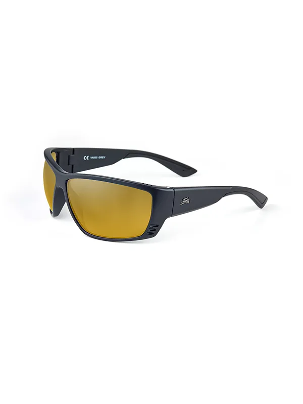 Fortis Vistas Polarised Sunglasses — Switch