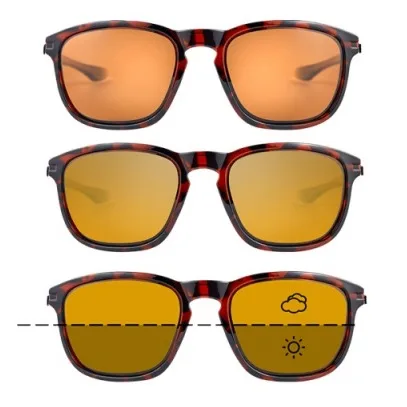 Fortis Strokes Tortoiseshell Polarised Sunglasses