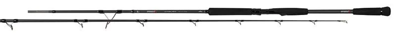 Fox Rage Prism X Catfish Spin 250cm 50-180g
