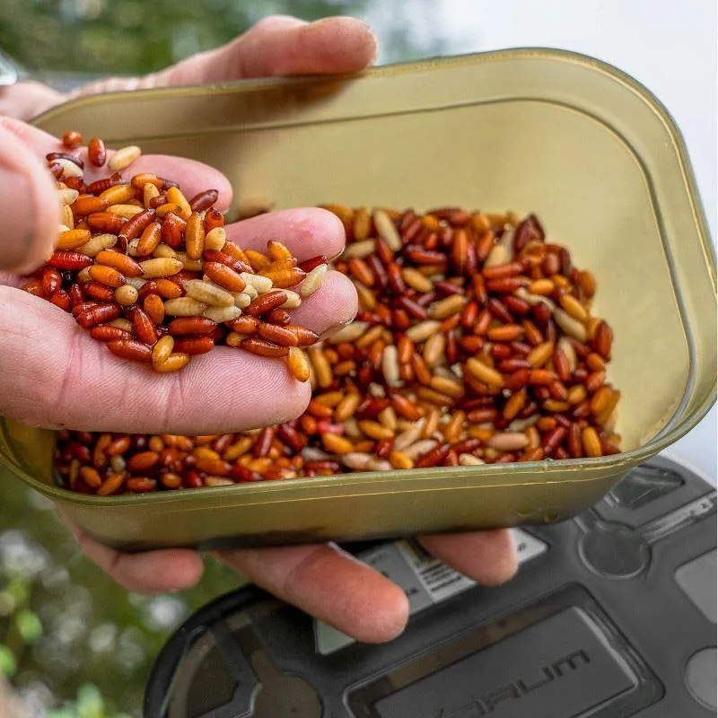 Korum Bait Tubs - 2 Pint