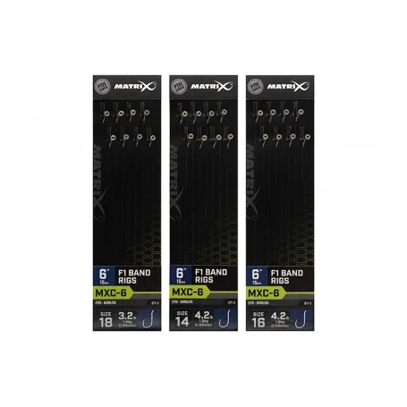 Matrix MXC-6 F1 Band Rigs