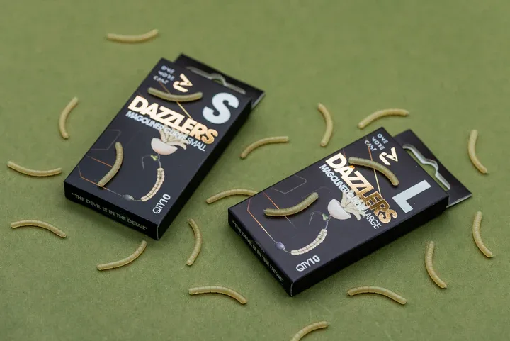OMC Dazzlers Magoliner Curve