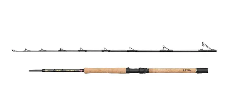 Penn Regiment IV Pro Boat Rod