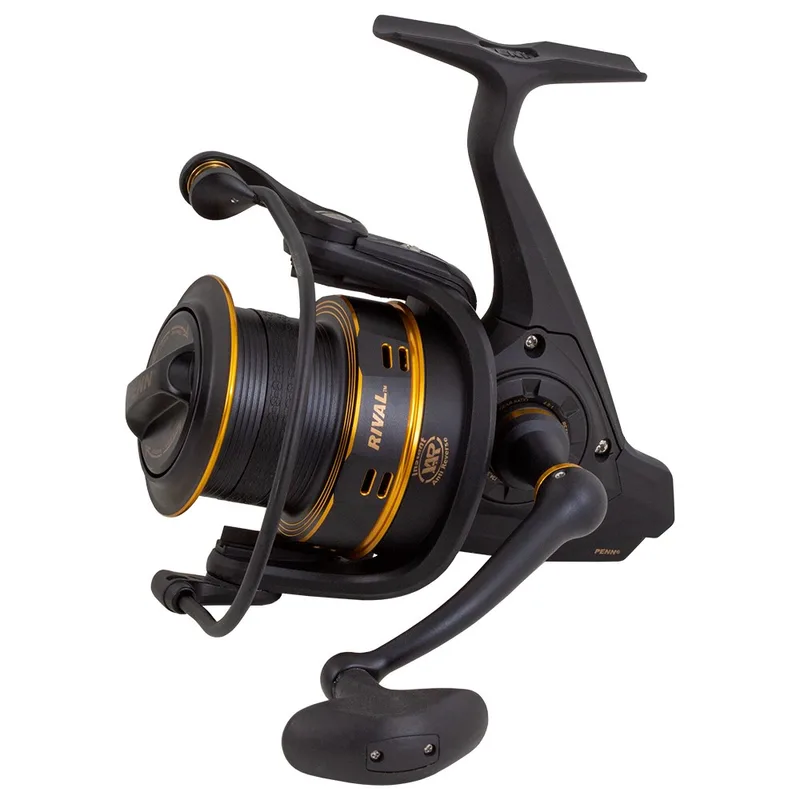 Penn Rival Longcast — 8000, Gold