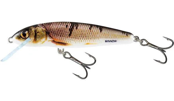 Salmo Minnow Floating Lure 5cm 5g — Wounded Dace