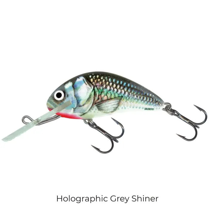 Salmo Hornet Sinking Lure — 2.5cm, Holographic Grey Shiner