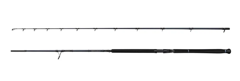 Savage Gear Defiance SG2 Shore Jigging - Savage Gear Defiance SG2 Shore Jigging 9'6" 15-60g