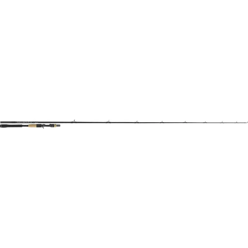 Tenryu Injection BC 73 H Pike Special