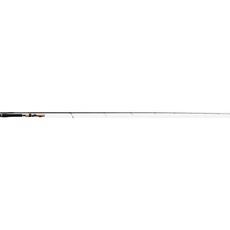 Tenryu Injection Fast Finesse L