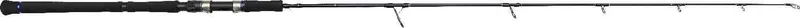 Westin W2 Jigging 6′ H Max. 250g 1sec